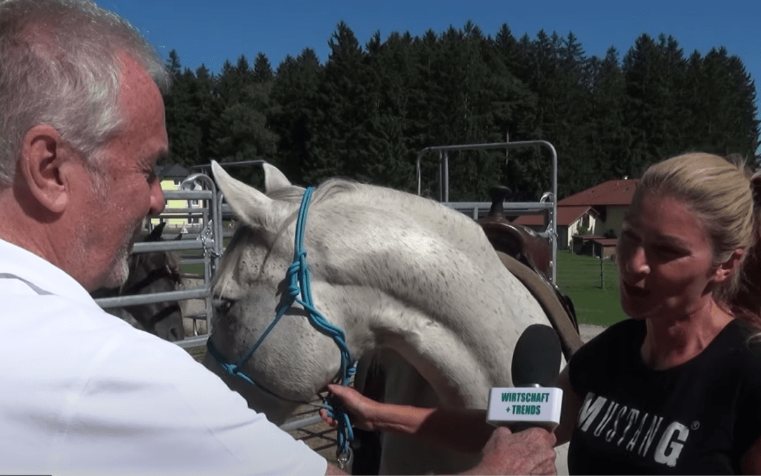 Foxhill Ranch – Ein Reiter- und Naturparadies im Mühlviertel