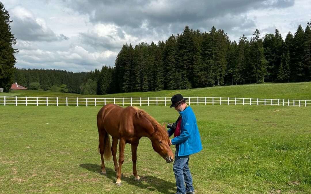 Neue Familie für zwei unserer Jungpferde